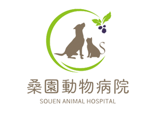 桑園動物病院