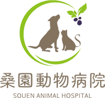 桑園動物病院